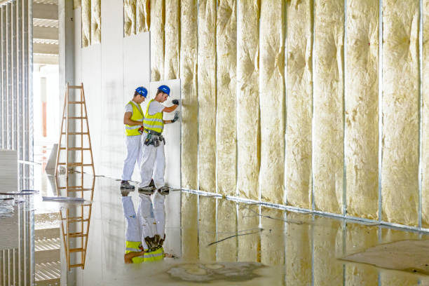 Best Commercial Insulation in Downingtown, PA